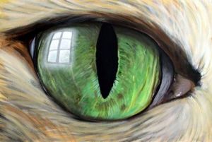 Voir le détail de cette oeuvre: L'Oeil du Chat